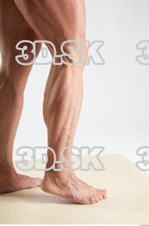 Leg reference of Dale 0010